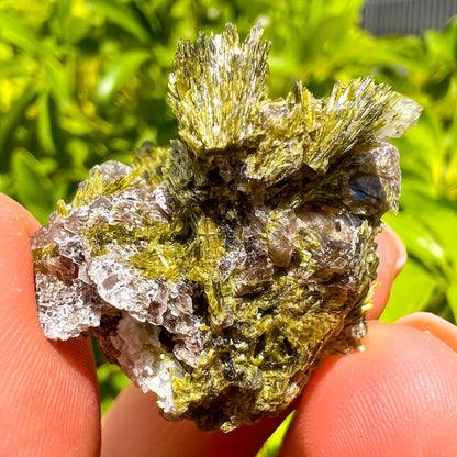 Axinite, Epidote, and Quartz Fine Mineral - Specimen