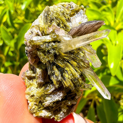 Axinite, Epidote, and Quartz Fine Mineral - Specimen