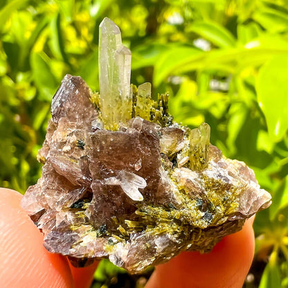 Axinite, Epidote, and Quartz Fine Mineral - Specimen