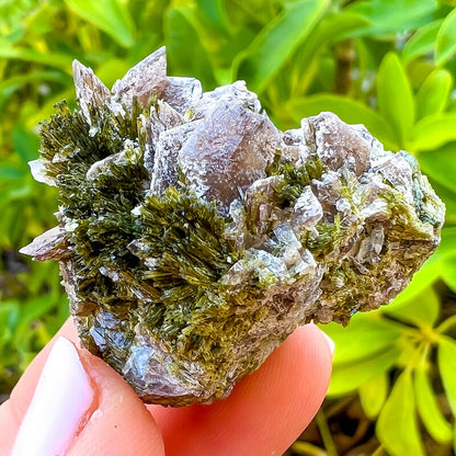 Axinite, Epidote, and Quartz Fine Mineral - Specimen