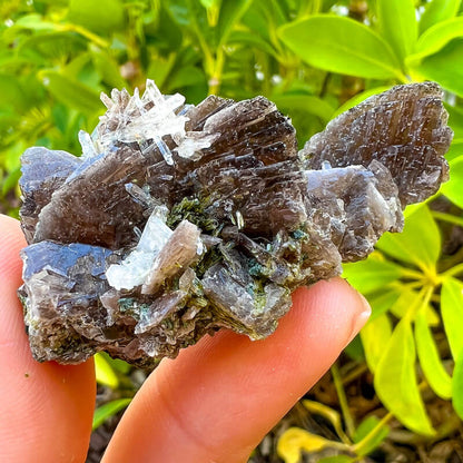 Axinite, Epidote, and Quartz Fine Mineral - Specimen