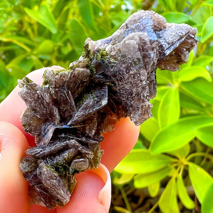 Axinite, Epidote, and Quartz Fine Mineral - Specimen
