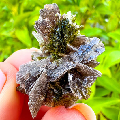 Axinite, Epidote, and Quartz Fine Mineral - Specimen
