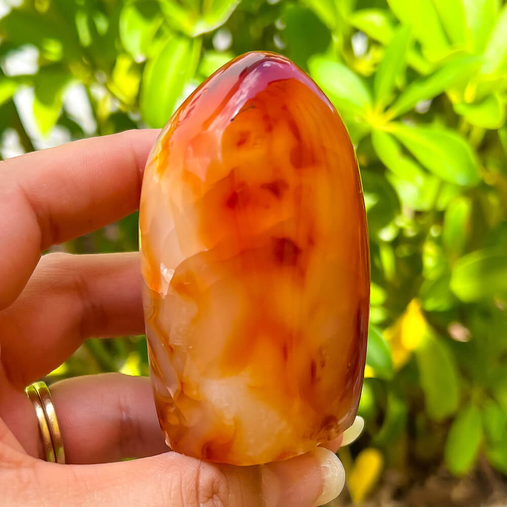 Carnelian Freeform Palm Stone from Madagascar