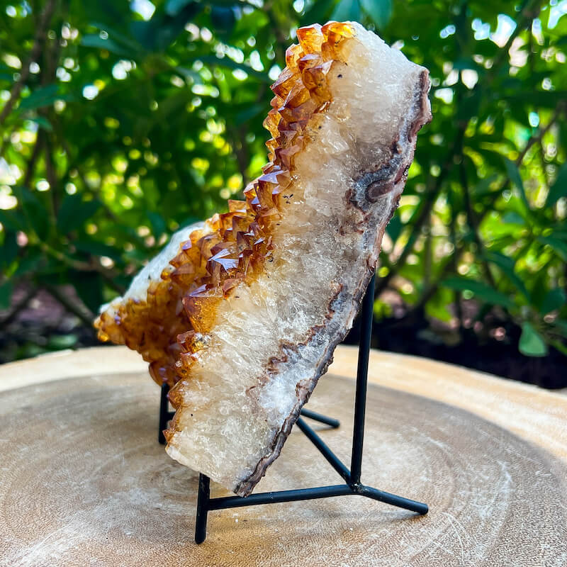 Citrine Druzy Cluster. Citrine Crystal Cluster Geode at Magic Crystals. Crystal Citrine Cluster, Citrine Crystal Cluster. Citrine Druzy Crystal Cluster Geode Solar Plexus Stone Wealth Stone Citrine Crystal. Gemstone Carving. FREE SHIPPING available.