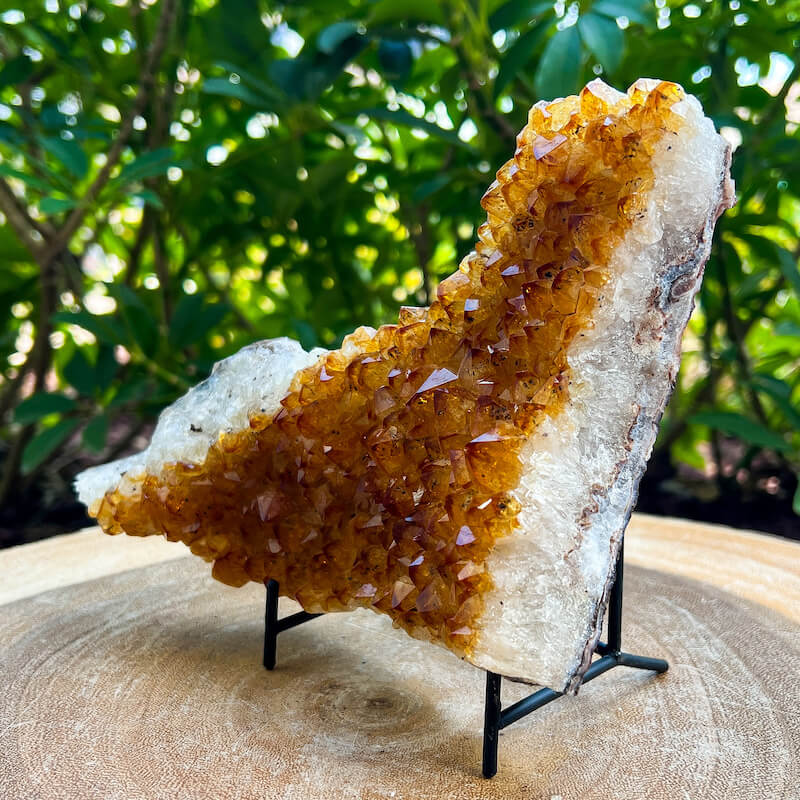 Citrine Druzy Cluster. Citrine Crystal Cluster Geode at Magic Crystals. Crystal Citrine Cluster, Citrine Crystal Cluster. Citrine Druzy Crystal Cluster Geode Solar Plexus Stone Wealth Stone Citrine Crystal. Gemstone Carving. FREE SHIPPING available.