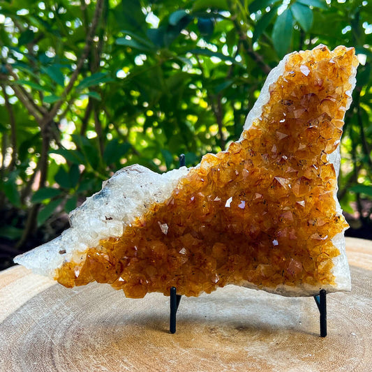 Citrine Druzy Cluster. Citrine Crystal Cluster Geode at Magic Crystals. Crystal Citrine Cluster, Citrine Crystal Cluster. Citrine Druzy Crystal Cluster Geode Solar Plexus Stone Wealth Stone Citrine Crystal. Gemstone Carving. FREE SHIPPING available.