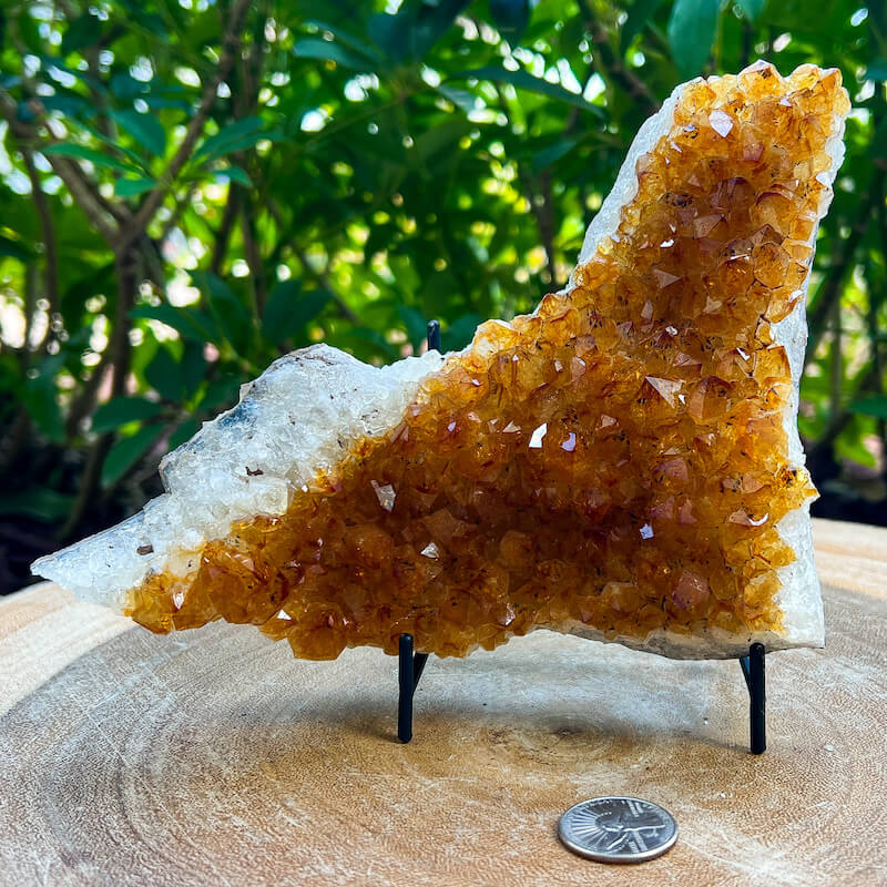 Citrine Druzy Cluster. Citrine Crystal Cluster Geode at Magic Crystals. Crystal Citrine Cluster, Citrine Crystal Cluster. Citrine Druzy Crystal Cluster Geode Solar Plexus Stone Wealth Stone Citrine Crystal. Gemstone Carving. FREE SHIPPING available.