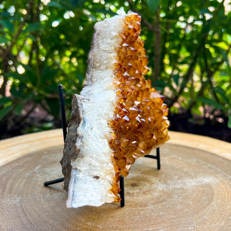 Citrine Druzy Cluster. Citrine Crystal Cluster Geode at Magic Crystals. Crystal Citrine Cluster, Citrine Crystal Cluster. Citrine Druzy Crystal Cluster Geode Solar Plexus Stone Wealth Stone Citrine Crystal. Gemstone Carving. FREE SHIPPING available.
