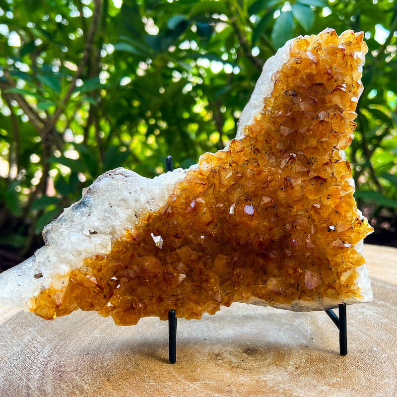 Citrine Druzy Cluster. Citrine Crystal Cluster Geode at Magic Crystals. Crystal Citrine Cluster, Citrine Crystal Cluster. Citrine Druzy Crystal Cluster Geode Solar Plexus Stone Wealth Stone Citrine Crystal. Gemstone Carving. FREE SHIPPING available.