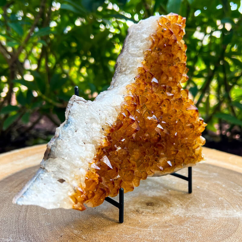Citrine Druzy Cluster. Citrine Crystal Cluster Geode at Magic Crystals. Crystal Citrine Cluster, Citrine Crystal Cluster. Citrine Druzy Crystal Cluster Geode Solar Plexus Stone Wealth Stone Citrine Crystal. Gemstone Carving. FREE SHIPPING available.