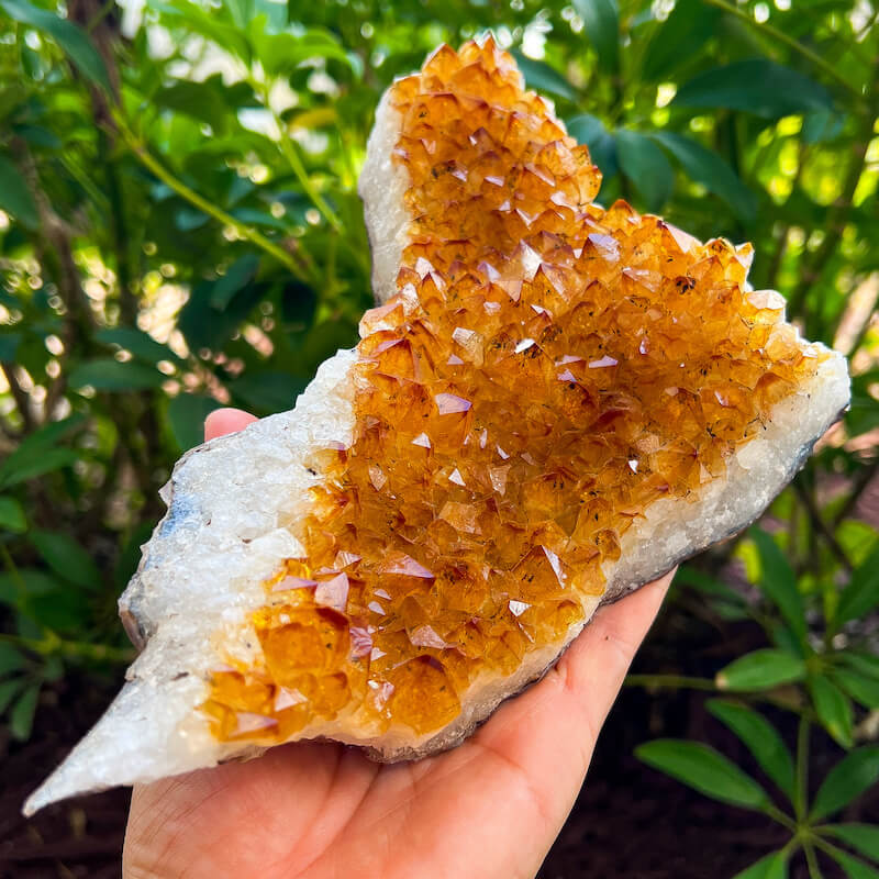 Citrine Druzy Cluster. Citrine Crystal Cluster Geode at Magic Crystals. Crystal Citrine Cluster, Citrine Crystal Cluster. Citrine Druzy Crystal Cluster Geode Solar Plexus Stone Wealth Stone Citrine Crystal. Gemstone Carving. FREE SHIPPING available.
