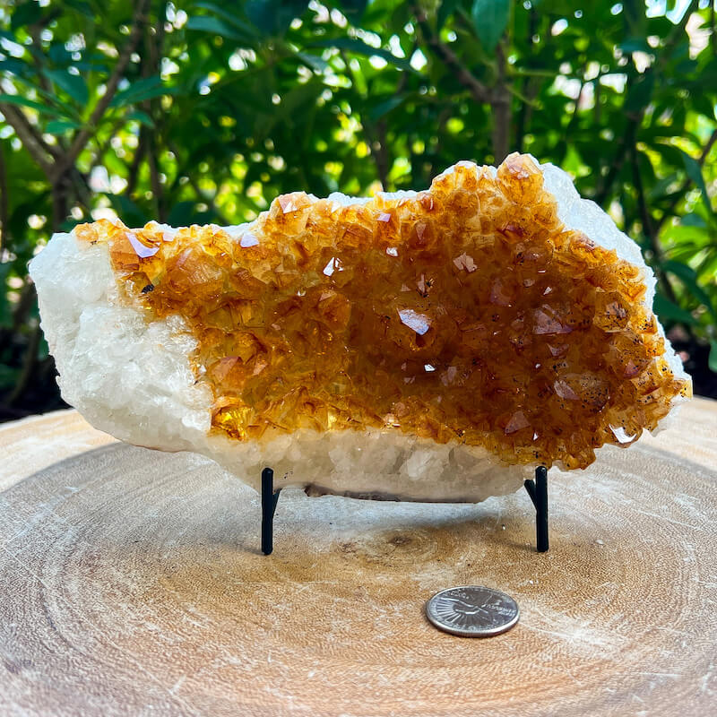 Citrine Druzy Cluster. Citrine Crystal Cluster Geode at Magic Crystals. Crystal Citrine Cluster, Citrine Crystal Cluster. Citrine Druzy Crystal Cluster Geode Solar Plexus Stone Wealth Stone Citrine Crystal. Gemstone Carving. FREE SHIPPING available.