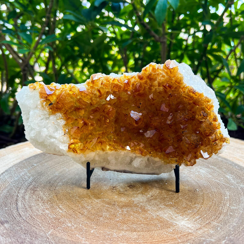 Citrine Druzy Cluster. Citrine Crystal Cluster Geode at Magic Crystals. Crystal Citrine Cluster, Citrine Crystal Cluster. Citrine Druzy Crystal Cluster Geode Solar Plexus Stone Wealth Stone Citrine Crystal. Gemstone Carving. FREE SHIPPING available.