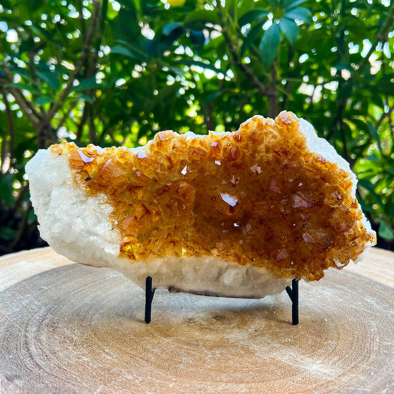 Citrine Druzy Cluster. Citrine Crystal Cluster Geode at Magic Crystals. Crystal Citrine Cluster, Citrine Crystal Cluster. Citrine Druzy Crystal Cluster Geode Solar Plexus Stone Wealth Stone Citrine Crystal. Gemstone Carving. FREE SHIPPING available.
