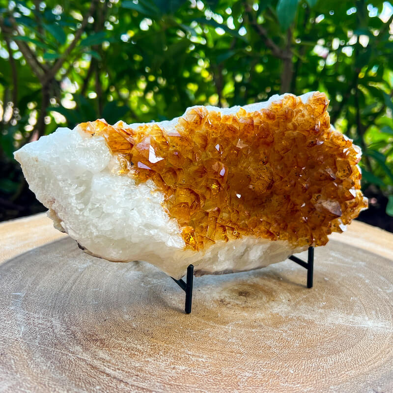 Citrine Druzy Cluster. Citrine Crystal Cluster Geode at Magic Crystals. Crystal Citrine Cluster, Citrine Crystal Cluster. Citrine Druzy Crystal Cluster Geode Solar Plexus Stone Wealth Stone Citrine Crystal. Gemstone Carving. FREE SHIPPING available.