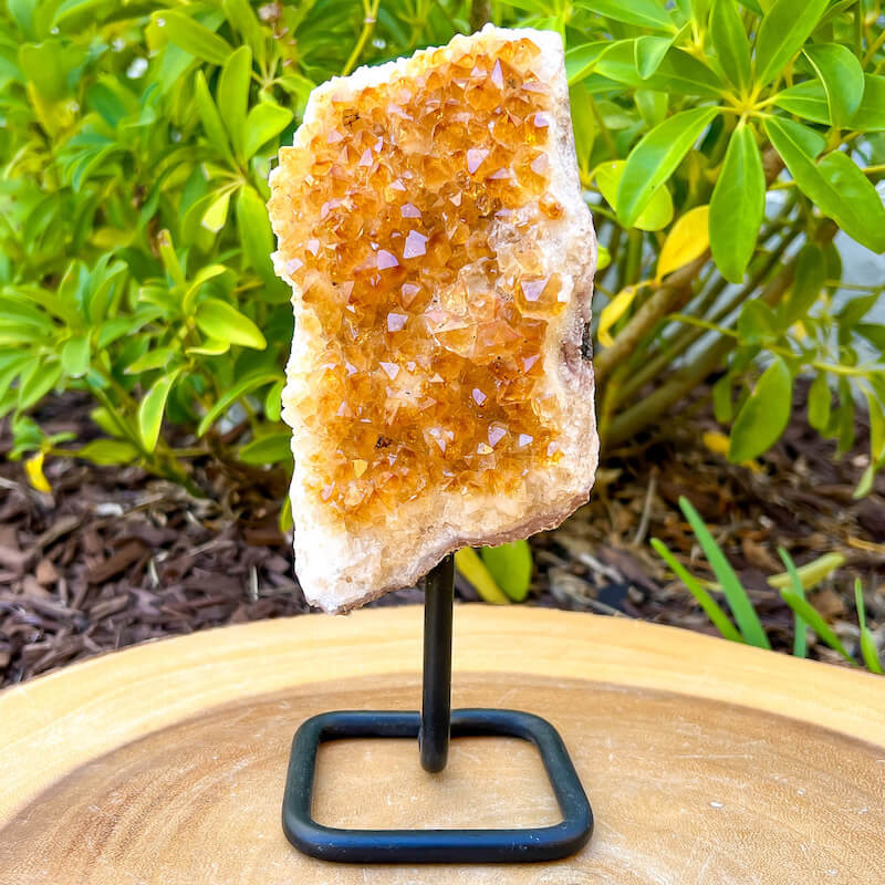 Looking for a Druzy Citrine On a Stand - ? Shop at Magic Crystals for Citrine Druzy Cluster, Raw Citrine Cluster, Citrine Crystal cluster, Citrine Crystal, Large Citrine Cluster. FREE SHIPPING available. Citrine is a stone of manifestation, imagination, and personal will. Citrine from Brazil is perfect for Home Decor