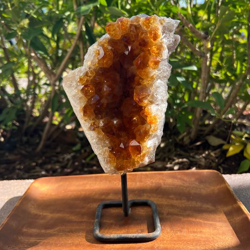 Druzy citrino en un soporte - #B
