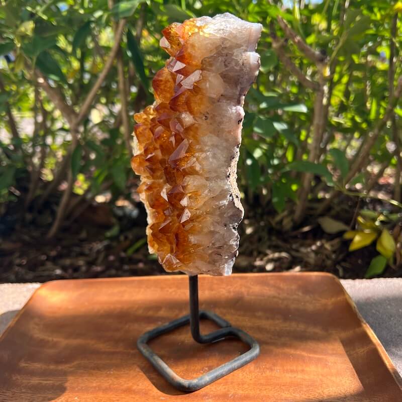 Druzy citrino en un soporte - #B