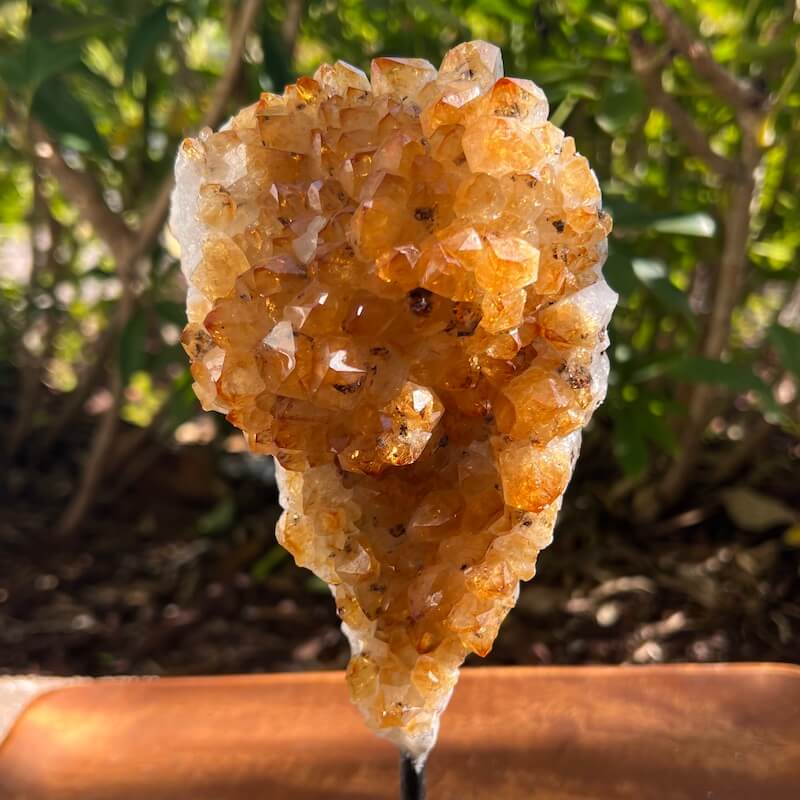 Druzy citrino en un soporte - #B