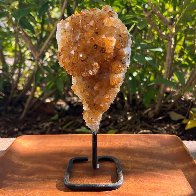 Druzy citrino en un soporte - #B