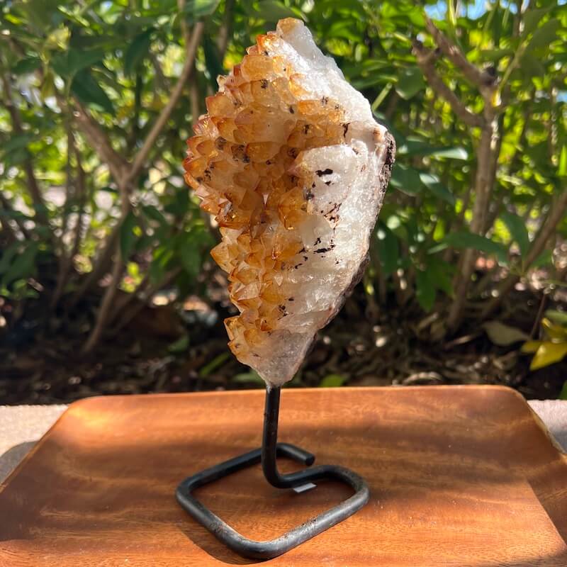 Druzy citrino en un soporte - #B
