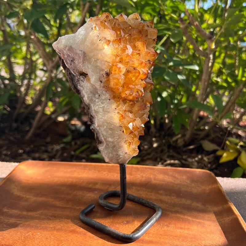 Druzy citrino en un soporte - #B