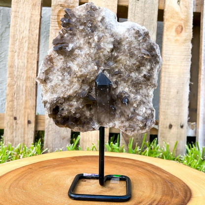 Looking for Druzy Smoky Quartz on a Stand - K? Shop at Magic Crystals for Smokey quartz Polished Point, Smokey quartz Stone, Smokey quartz Point, Stone Point, Crystal Point, Smokey quartz Tower, Power Point at Magic Crystals. Find genuine and quality Natural Smokey quartz Gemstone in Magiccrystals.com .