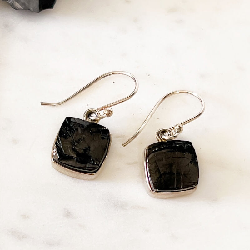 Elite Shungite Sterling Silver Earrings