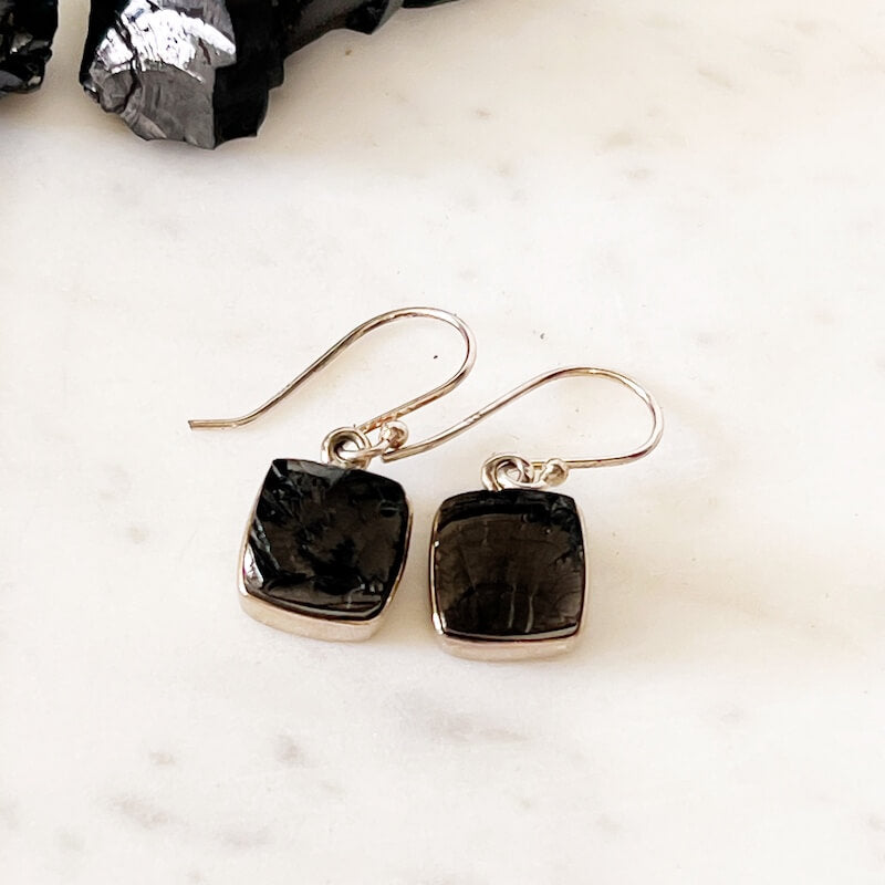 Elite Shungite Sterling Silver Earrings