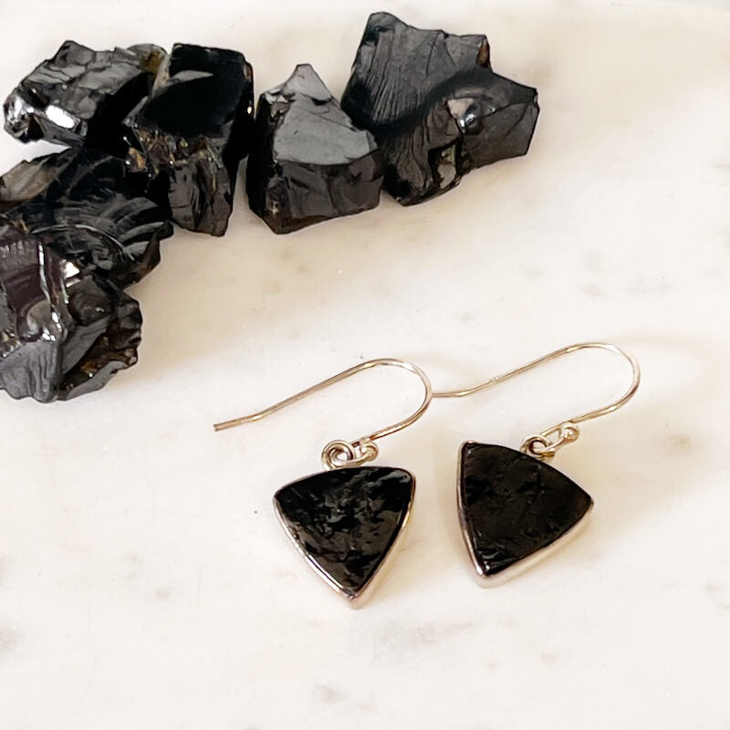Elite Shungite Sterling Silver Earrings