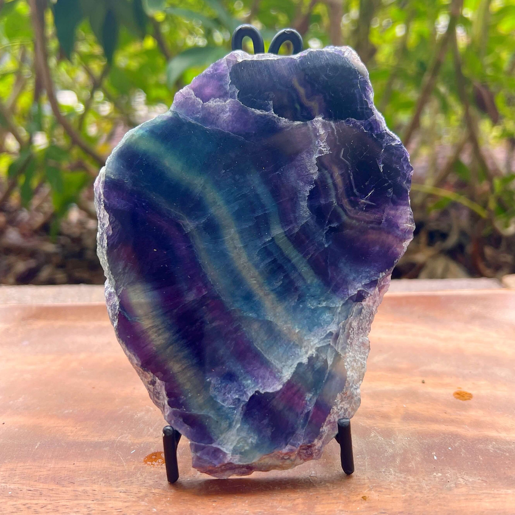 A raw amethyst crystal specimen with striking purple, blue, and green banding, displayed on a small black metal stand on a wooden surface with a blurred green garden background.