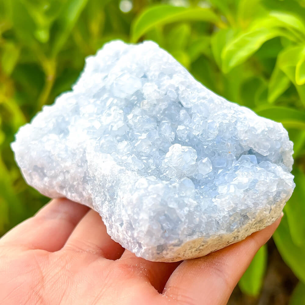 Celestite Crystal Geode Cluster. Rocks & Fossils. Unique Item at Magic Crystals. Celestite Stone Cluster- Celestite Raw Crystal Cluster, Magic Crystals. High Quality Celestite Geode Cluster - Group 2