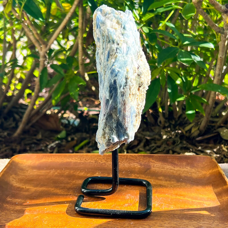 Large Raw Blue Kyanite on a Stand