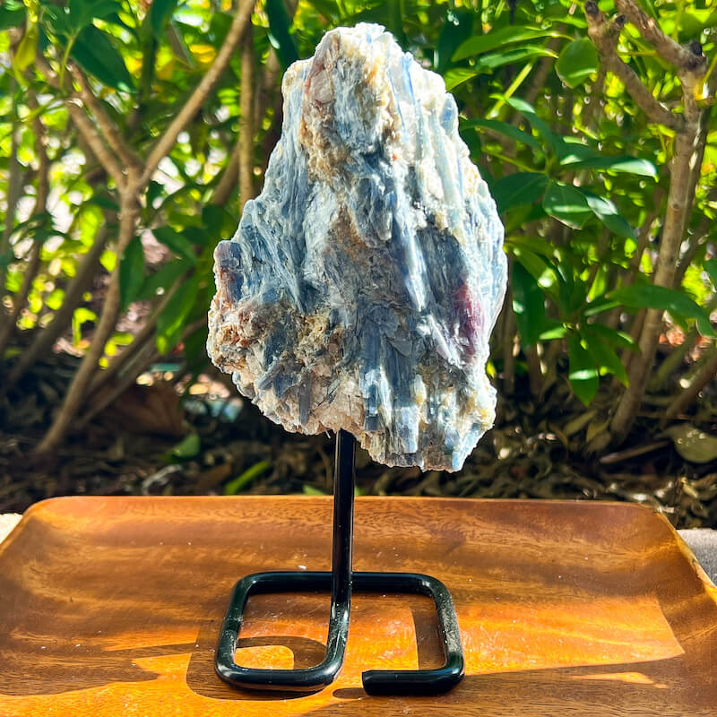 Large Raw Blue Kyanite on a Stand