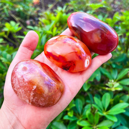    Large-Carnelian-Polished-Stone. XL Polished Power Stone - Extra Large Tumbled Stone. XL Polished Power Stone - Extra Large Tumbled Stone - MagicCrystals