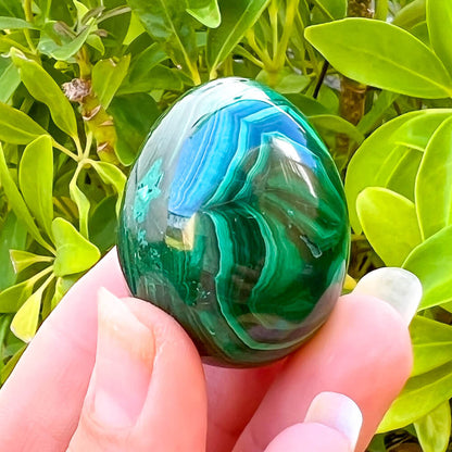 Genuine Malachite Carved Egg