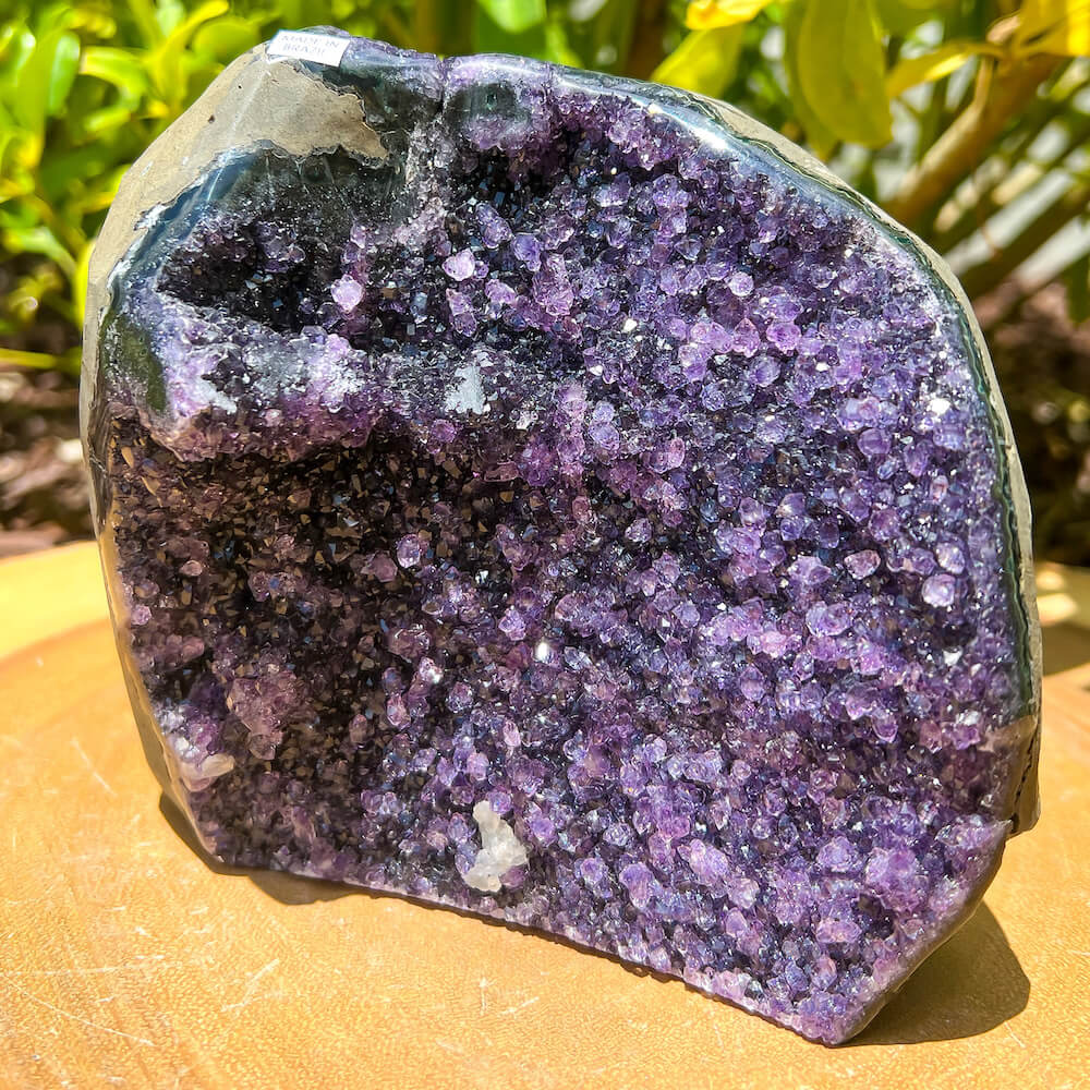 Polished Amethyst Geode Cluster - Cathedral Amethyst - Group 2. Polished Cut Base Amethyst Cluster. Amethyst Polished Geode - Cathedral Amethyst - Magic Crystals