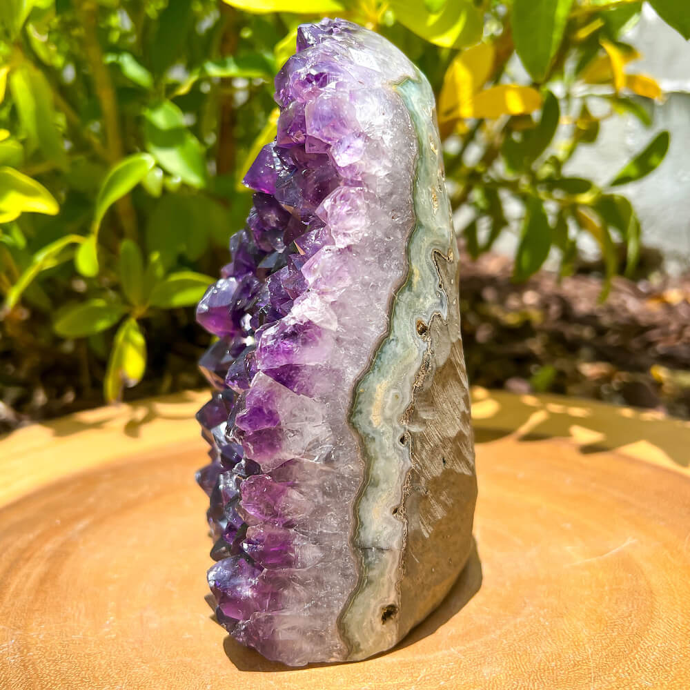 Polished Amethyst Geode Cluster - Cathedral Amethyst - Group 2. Polished Cut Base Amethyst Cluster. Amethyst Polished Geode - Cathedral Amethyst - Magic Crystals. Deep Purple Amethyst from Brazil and uruguay.