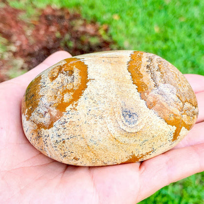 Picture Jasper Stone Polished Power Stone - Brown Stone - MagicCrystals. XL Polished Power Stone - XL Tumbled StoneXL Polished Power Stone - XL Tumbled Stone