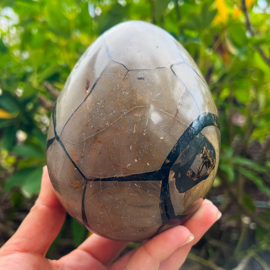 Natural Septarian Crystal Egg UV Reactive Stone Spiritual Healing Crystal Protection Meditation Glowing Energy Dragon Stone Home Decor Gift - MagicCrystals.com