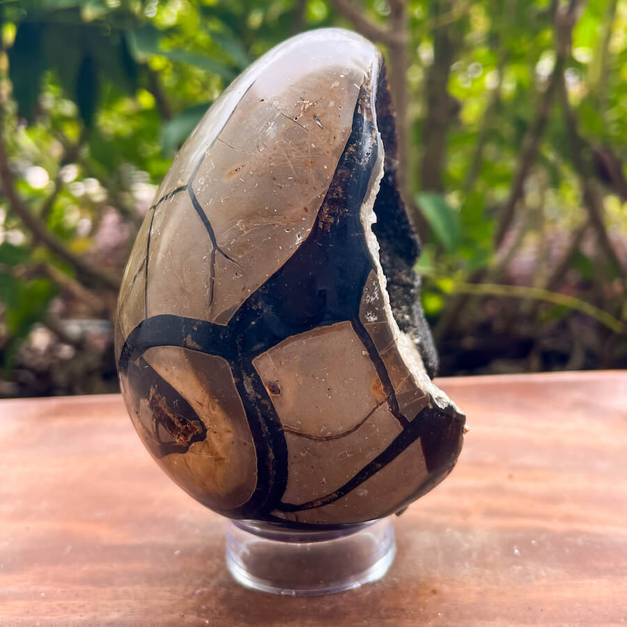 Natural Septarian Crystal Egg UV Reactive Stone Spiritual Healing Crystal Protection Meditation Glowing Energy Dragon Stone Home Decor Gift - MagicCrystals.com
