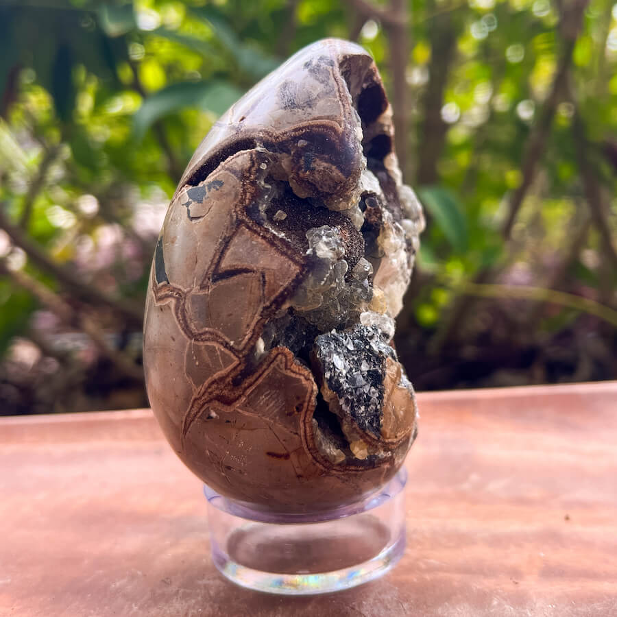 Natural Septarian Crystal Egg UV Reactive Stone Spiritual Healing Crystal Protection Meditation Glowing Energy Dragon Stone Home Decor Gift - MagicCrystals.com