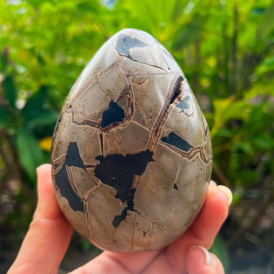 Natural Septarian Crystal Egg UV Reactive Stone Spiritual Healing Crystal Protection Meditation Glowing Energy Dragon Stone Home Decor Gift - MagicCrystals.com
