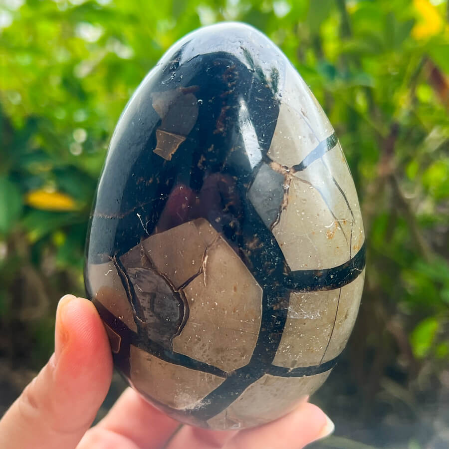 Natural Septarian Crystal Egg UV Reactive Stone Spiritual Healing Crystal Protection Meditation Glowing Energy Dragon Stone Home Decor Gift - MagicCrystals.com
