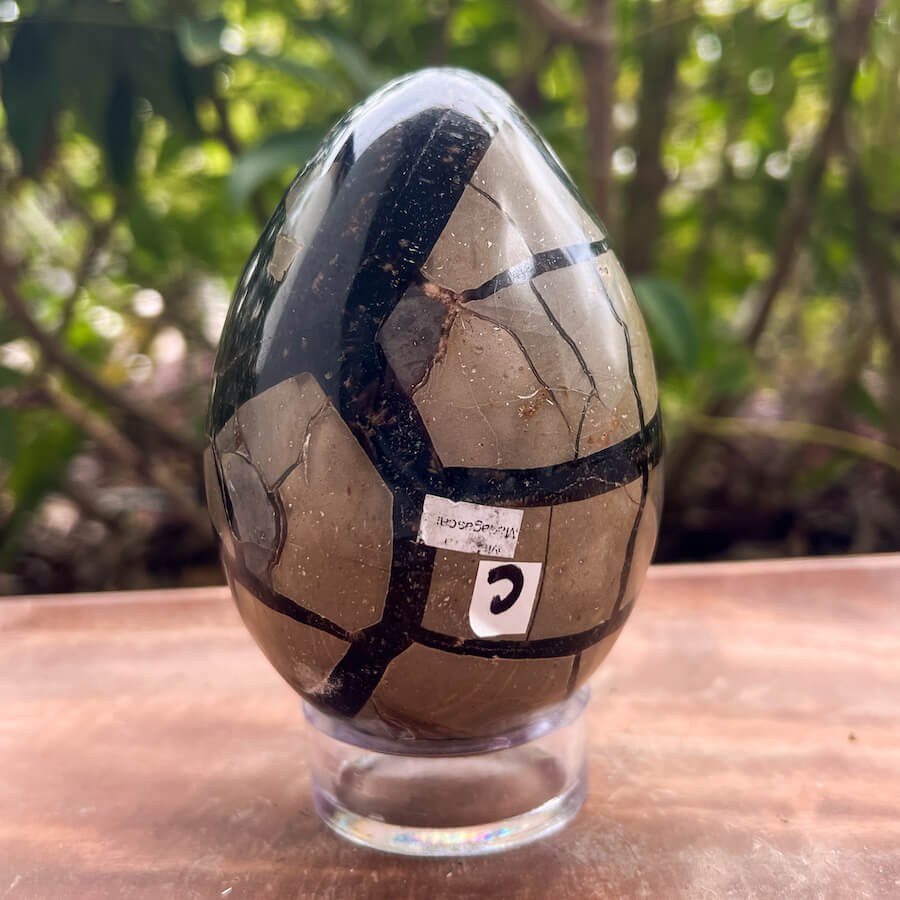 Natural Septarian Crystal Egg UV Reactive Stone Spiritual Healing Crystal Protection Meditation Glowing Energy Dragon Stone Home Decor Gift - MagicCrystals.com