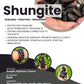 Shungite-Meaning-Properties