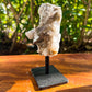 Smoky Quartz Druzy on Stand