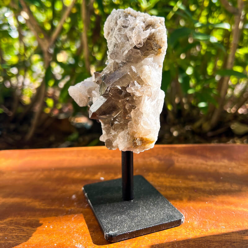 Smoky Quartz Druzy on Stand