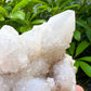 Shop for Cactus Quartz at magiccrystals.com  . Spirit Quartz also known as Fairy Quartz from Africa. Crystal Clusters. Natural Druzy Quartz Clusters, Crystal Clusters. Free shipping available